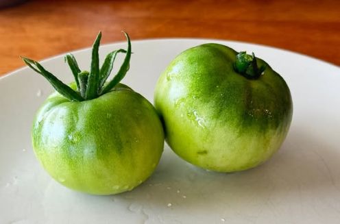 green mater samm mater.jpg